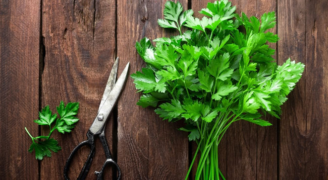 جعفری به انگلیسی Parsley