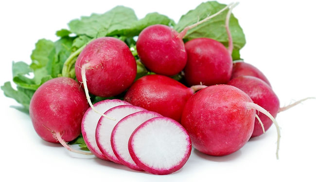 معادل تربچه نقلی به انگلیسی Radish