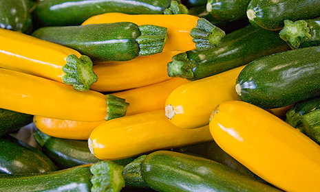 کدو به انگلیسی Zucchini